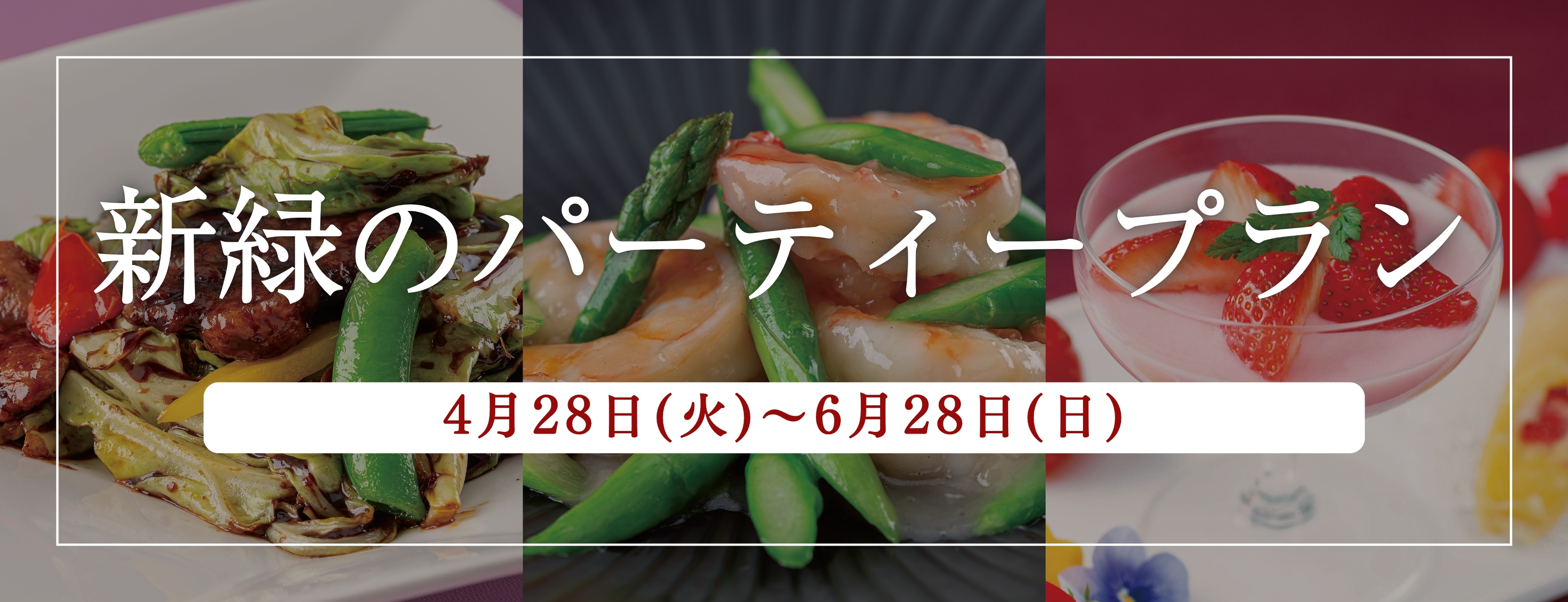 新緑のパーティープラン